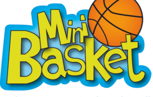 Micro Basket / U5-U6 / Baby