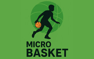Micro Basket